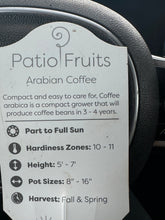 Cargar imagen en el visor de la galería, Arabian Coffee Plant - Plant and Heal
