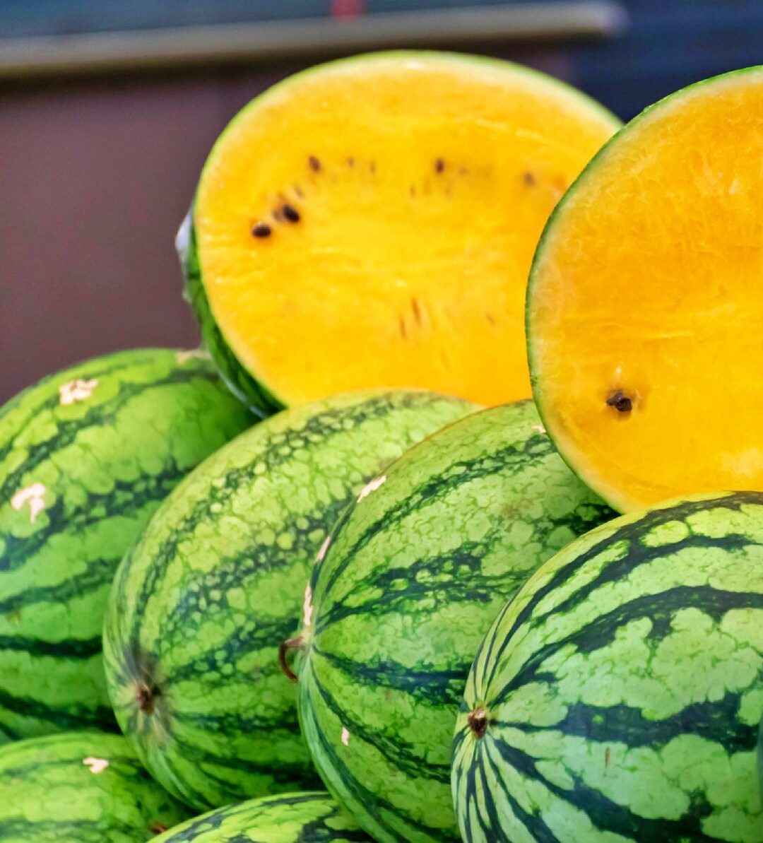 Whole striped Yellow Gem watermelons beside cut halves showing golden-yellow flesh — from BlackOwnedSeeds.com.