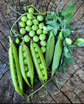 Cascadia snap pea pods and loose green peas arranged on a tree stump — from BlackOwnedSeeds.com.