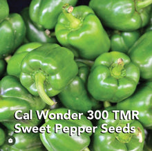 Cargar imagen en el visor de la galería, Sweet California Wonder 300 TMR Bell Pepper Seeds - Plant and Heal
