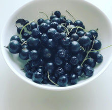 Load image into Gallery viewer, Consort Black Currants
