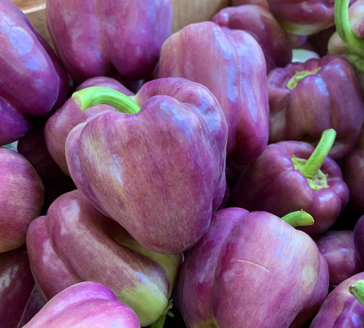 A pile of harvested lilac-purple bell peppers with green stems.