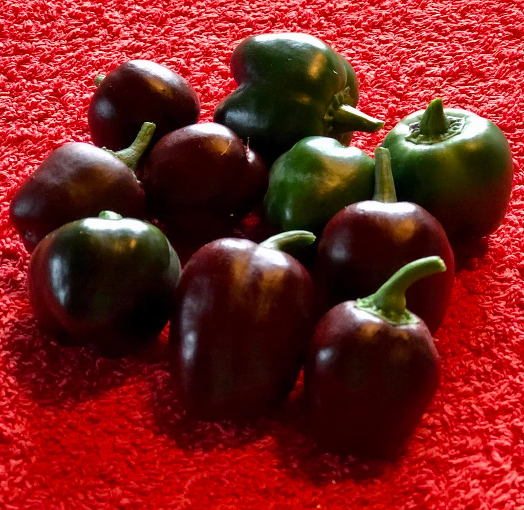 Small brown and green bell peppers on a red textured surface.