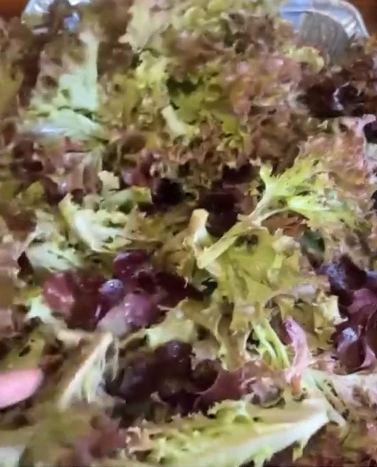 A mixture of pale green and burgundy lettuce leaves.