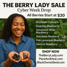Load image into Gallery viewer, Advertisement for The Berry Lady Sale with a woman holding berries and a list of berry varieties.
