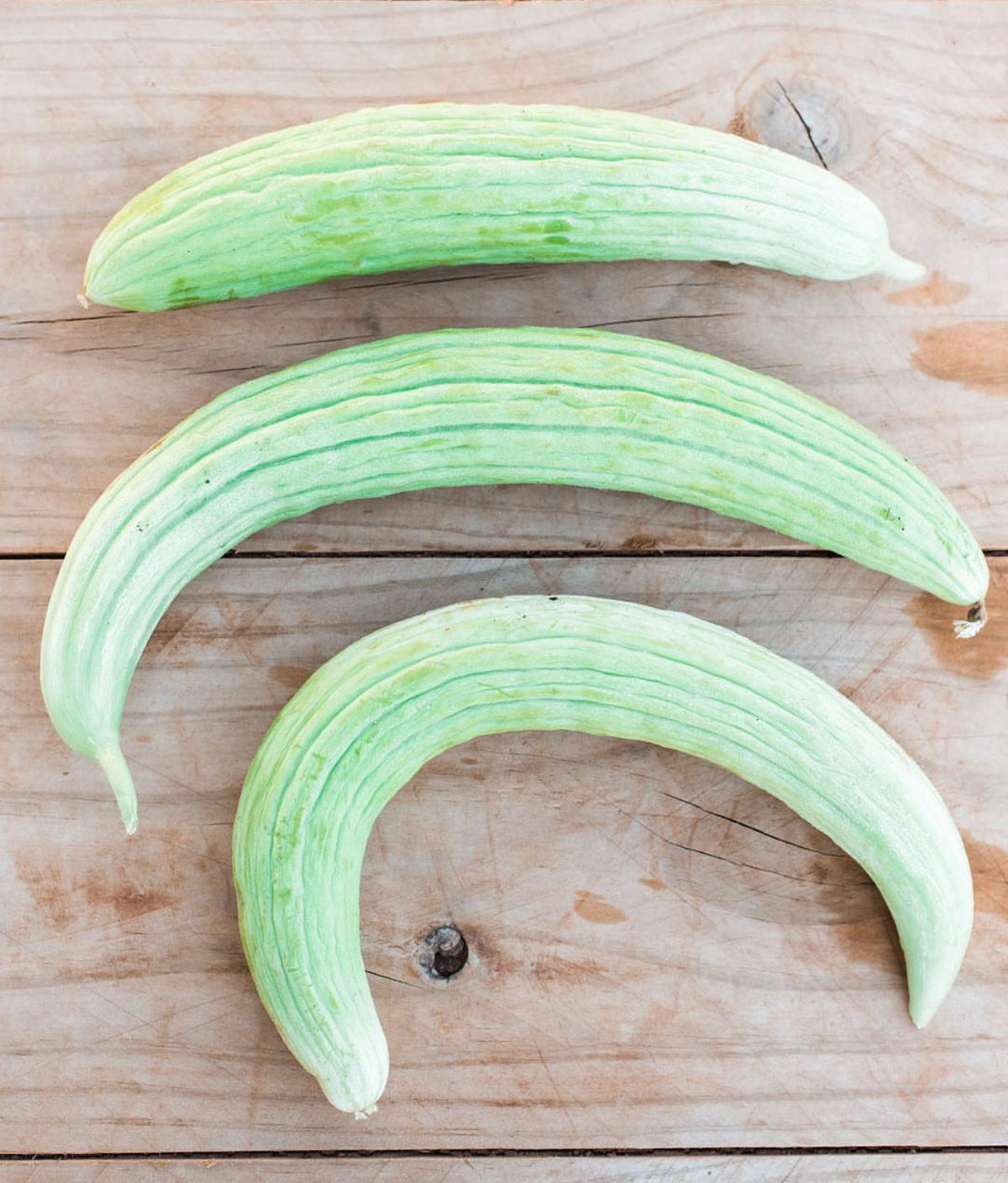 Three long curved pale green Armenian cucumbers on a wooden surface — from BlackOwnedSeeds.com.