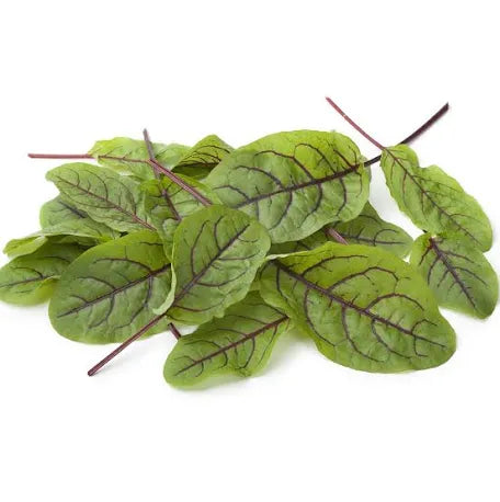 Harvested red-veined sorrel leaves in a small pile on white.