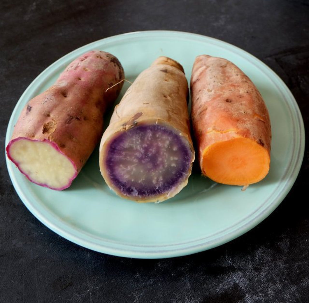 All Mix Combo Sweet Potato - 6 Slips (CERTIFIED USDA ORGANIC)