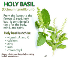 Load image into Gallery viewer, Tulsi Green Leaf Holy Basil Heirloom Seeds
