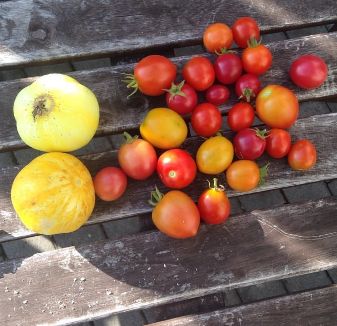 Small red and orange tomatoes beside two yellow cucumbers on wooden slats.
