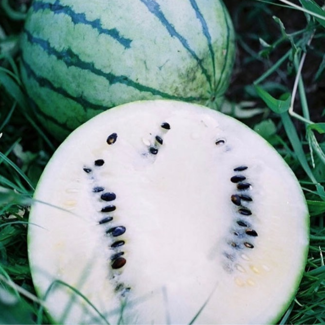 A watermelon half with creamy white flesh and dark seeds beside a whole striped melon.