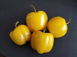 Four small yellow bell peppers on a black background.