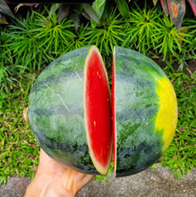 Load image into Gallery viewer, Cal Sweet Watermelon Seeds
