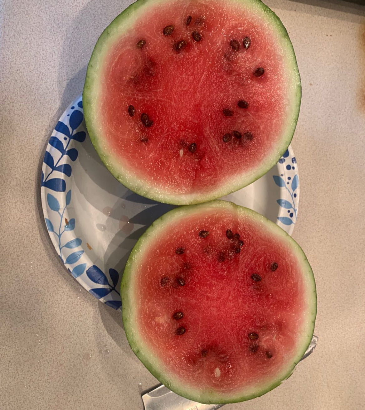Two watermelon halves with red flesh and dark seeds on a plate.