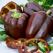 Chocolate Beauty bell peppers, whole and sliced, with glossy brown-purple skins — from BlackOwnedSeeds.com.