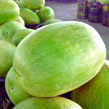 Load image into Gallery viewer, Desert King Watermelon
