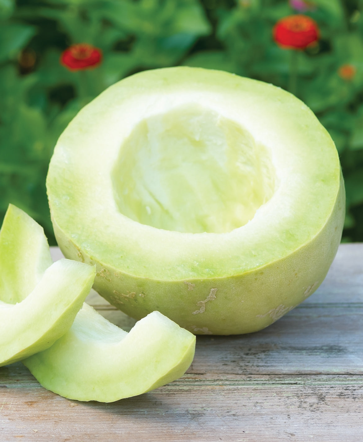 A hollowed honeydew melon with pale green wedges on a wooden surface.