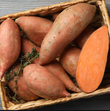 Load image into Gallery viewer, All Orange Mix Sweet Potato - 12 Slips (CERTIFIED USDA ORGANIC)
