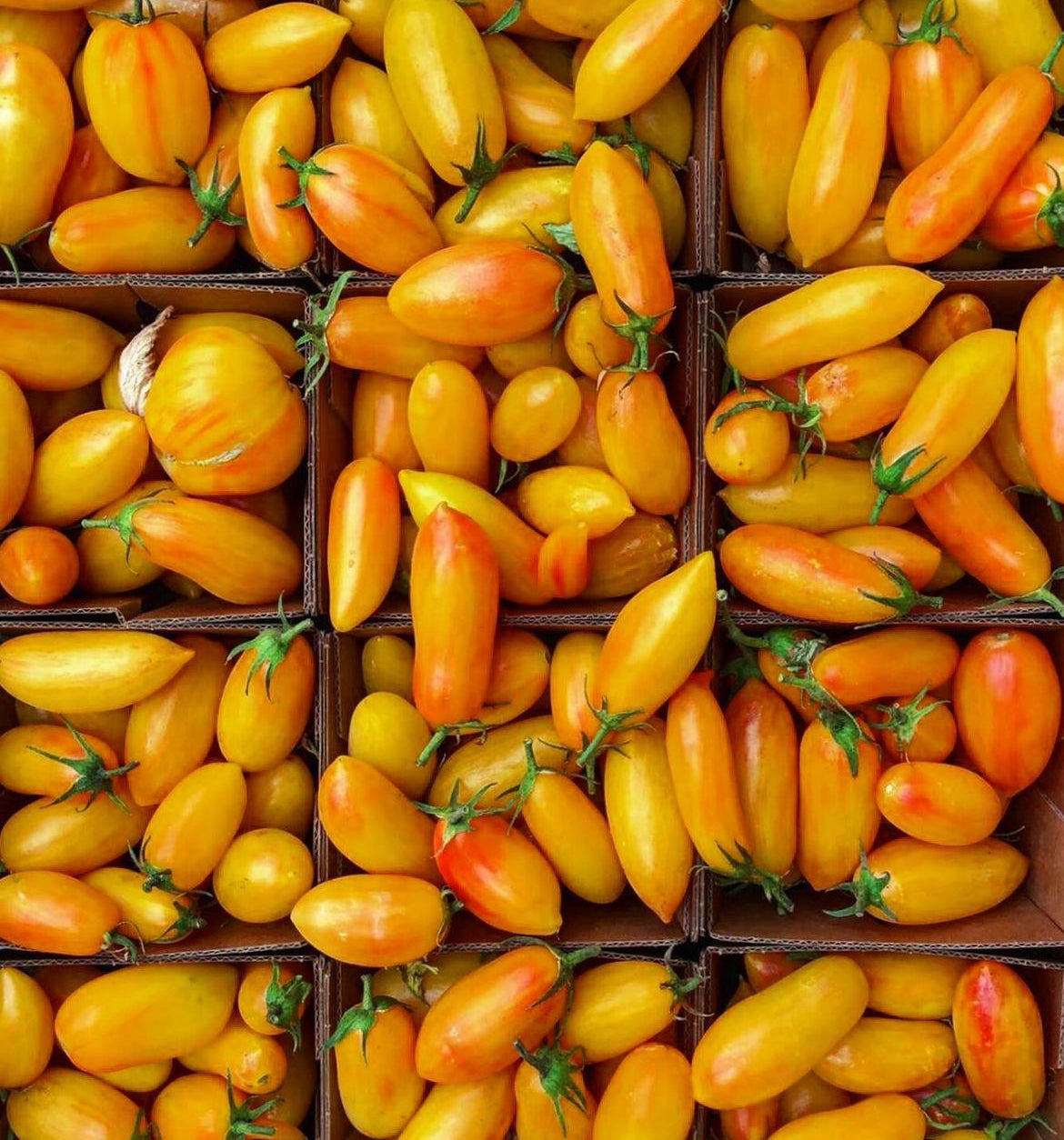 Produce containers filled with small elongated yellow and orange tomatoes.