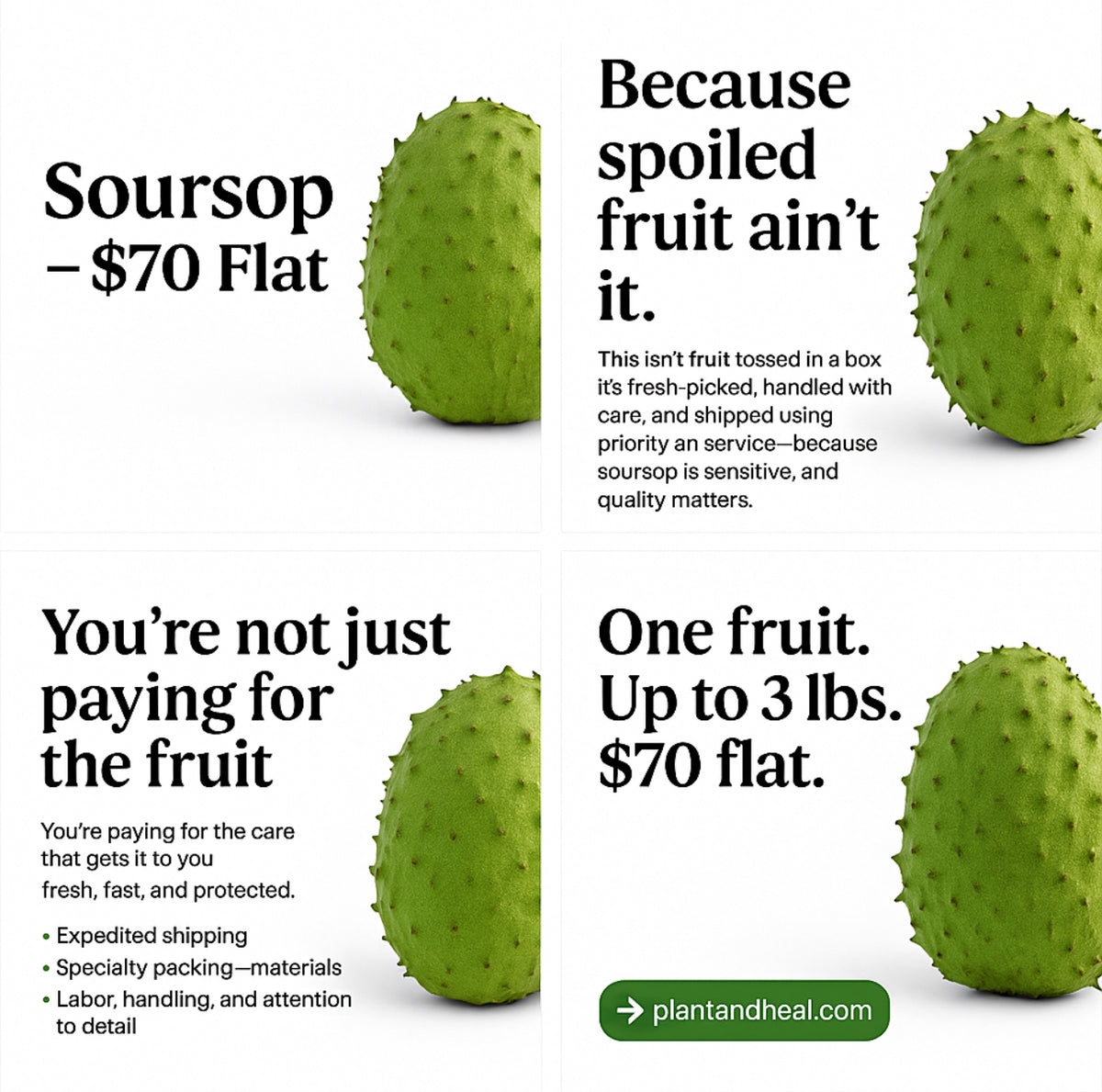Soursop Fruit — 1 Whole Fruit