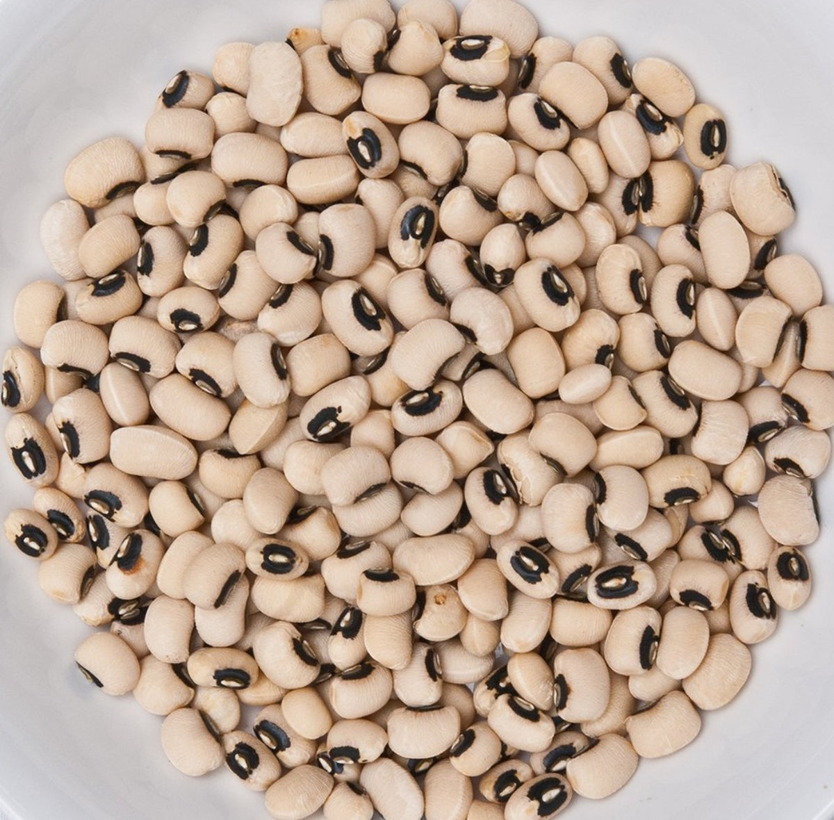Cream-colored California Black-Eye cowpeas with dark eye markings in a bowl — from BlackOwnedSeeds.com.