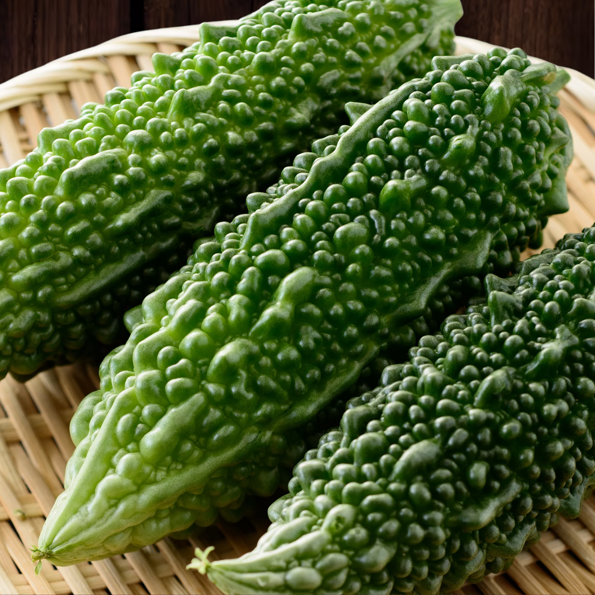 Green Futo Spindle bitter melons with pointed ends and deeply bumpy skins — from BlackOwnedSeeds.com.