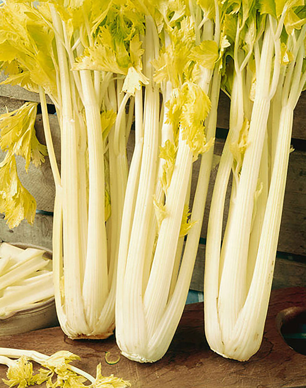 Golden Boy Celery Seeds - Plant and Heal