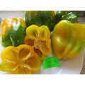 Canary Yellow bell peppers and cut halves showing their seeds on a white surface — from BlackOwnedSeeds.com.