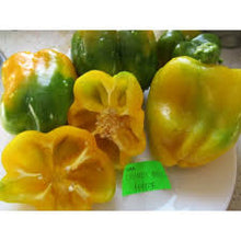 Load image into Gallery viewer, Sweet Canary Yellow Bell Pepper Seeds
