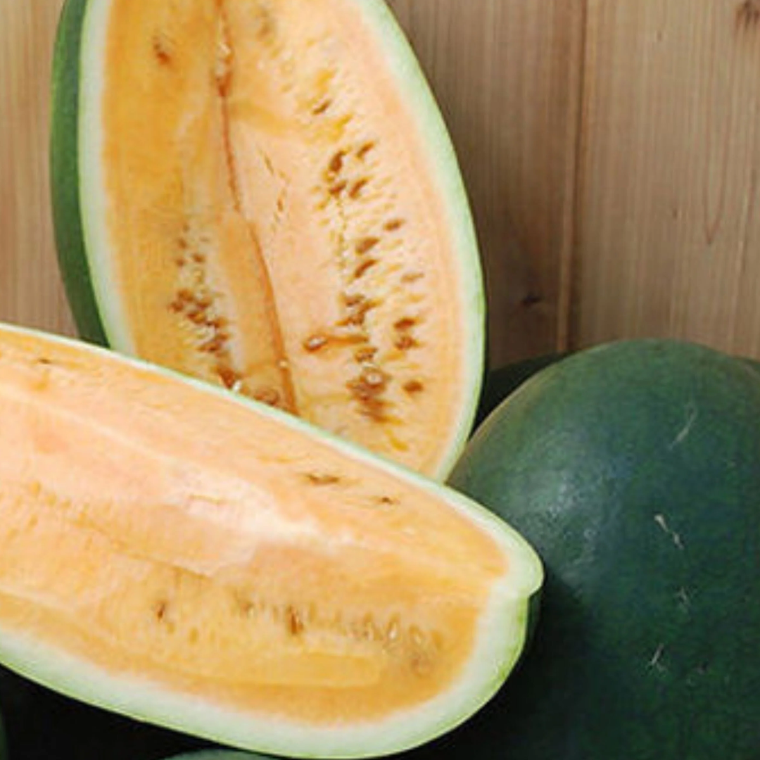 Sweet Siberian watermelon halves with pale orange flesh beside a whole green melon — from BlackOwnedSeeds.com.