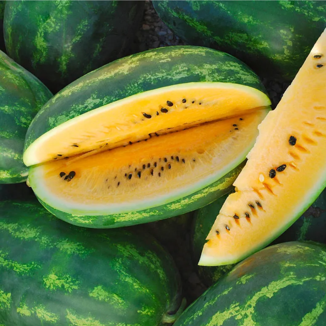 Mountain Sweet watermelons, including a cut melon with yellow-orange flesh and dark seeds — from BlackOwnedSeeds.com.