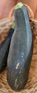 Black Beauty zucchini