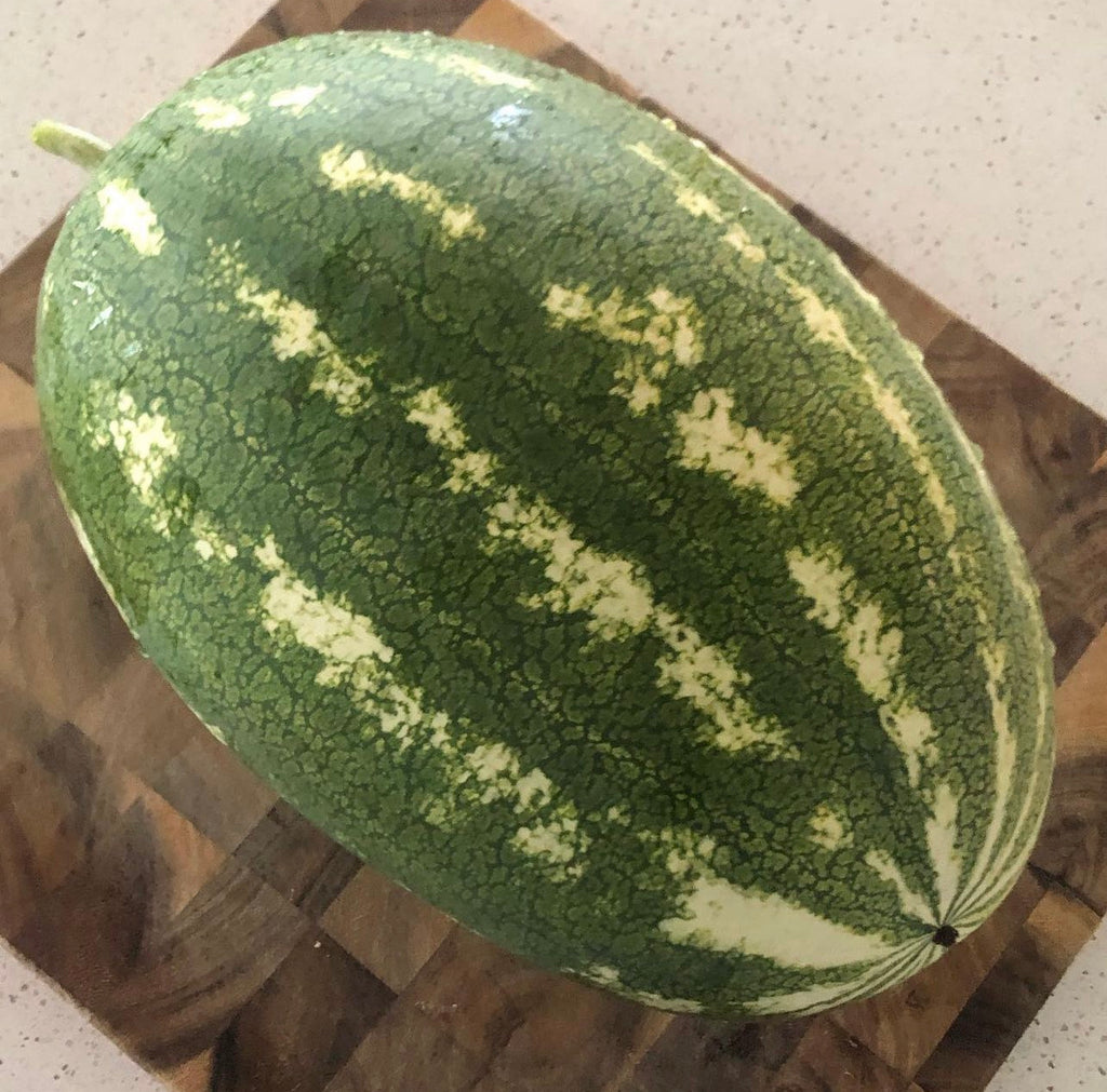 A whole oblong watermelon with mottled green stripes.