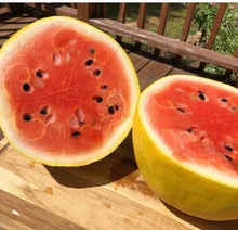 Load image into Gallery viewer, Golden Midget Heirloom Non-GMO Watermelon
