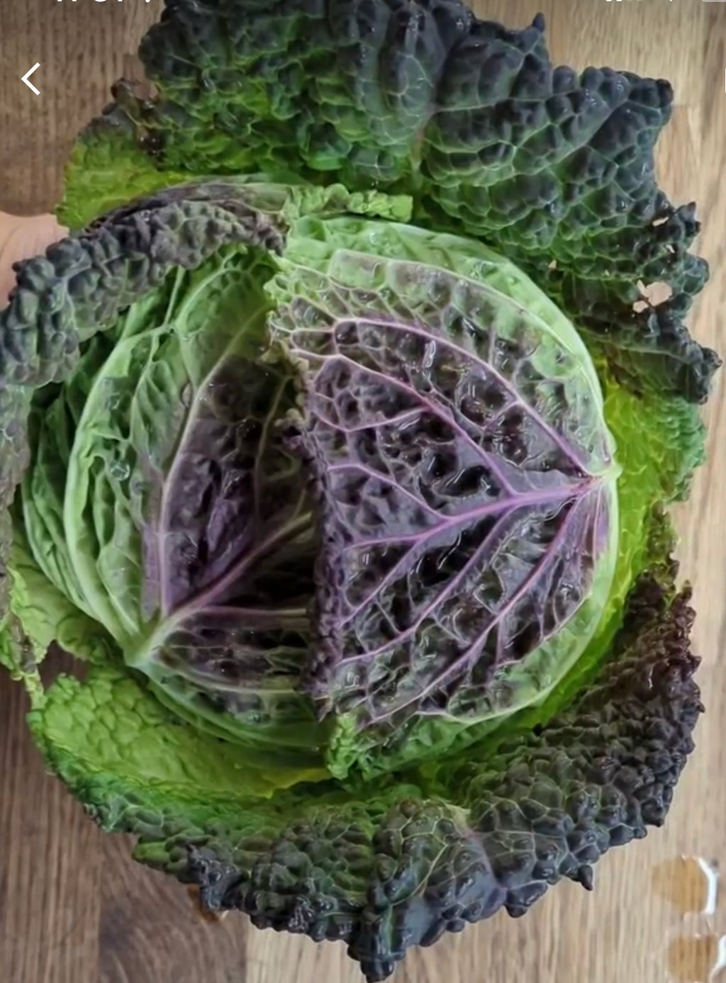 A cabbage head with crinkled purple inner leaves and green outer leaves.