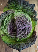 Load image into Gallery viewer, Purple Savoy Cabbage
