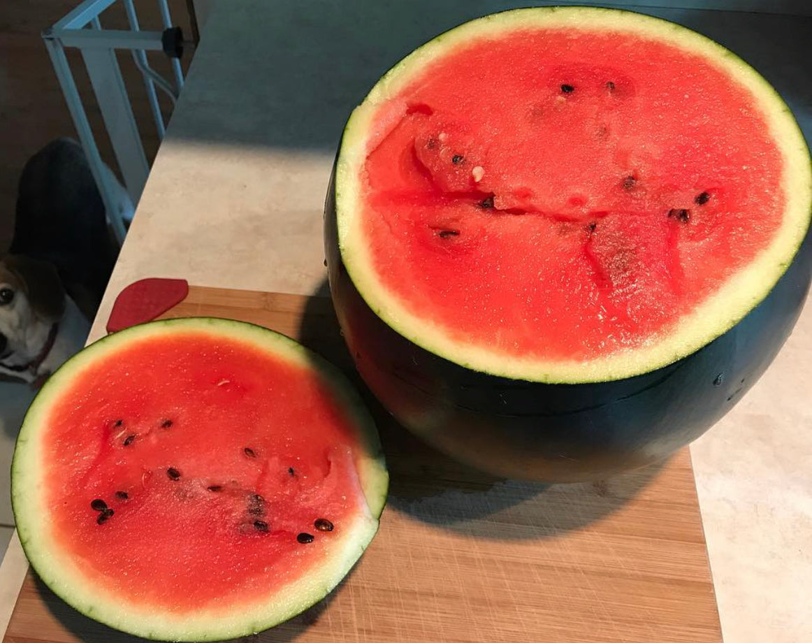 A Sugar Baby watermelon cut open to reveal red flesh and dark seeds — from BlackOwnedSeeds.com.