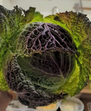 Load image into Gallery viewer, Purple Savoy Cabbage Seeds
