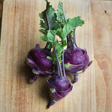 Load image into Gallery viewer, A vibrant photo of a purple, bulbous vegetable with green leaves and stems.
