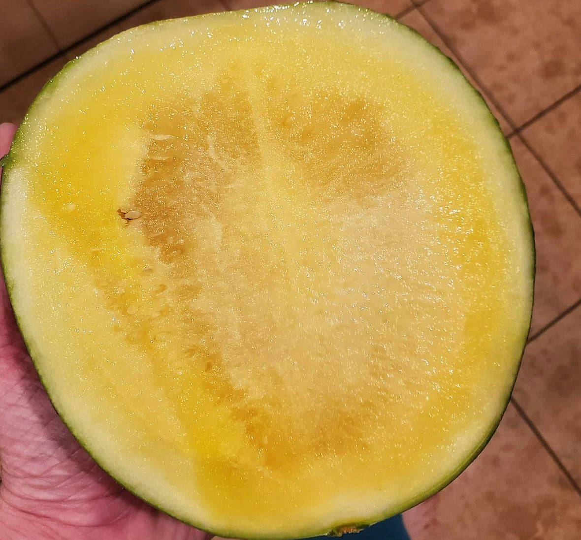 A hand holding a halved yellow-fleshed watermelon.