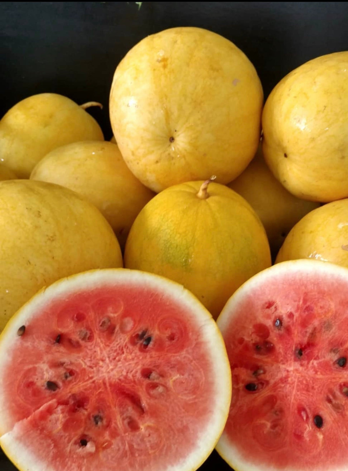Golden Midget watermelons with yellow rinds, including two red-fleshed halves — from BlackOwnedSeeds.com.
