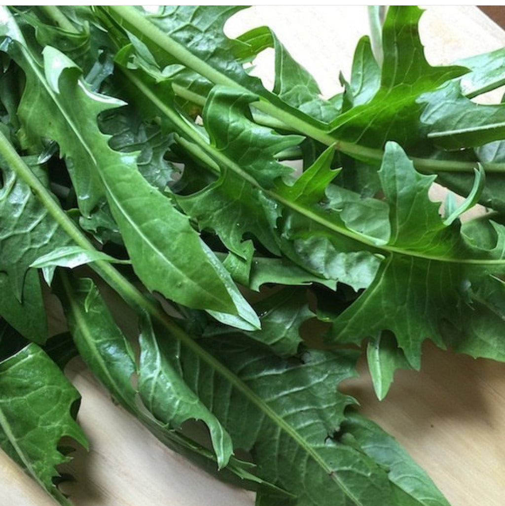 Close-up of deeply lobed green leaves with pale central veins.