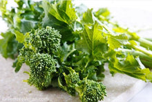 Load image into Gallery viewer, Spring Rapini Broccoli Raab Seeds - Plant and Heal
