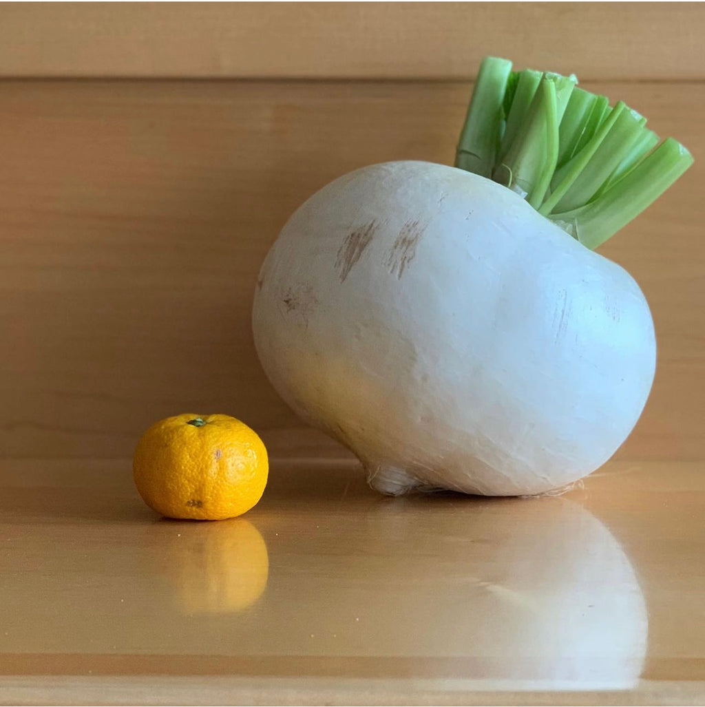 A very large white turnip beside a small yellow fruit for scale.