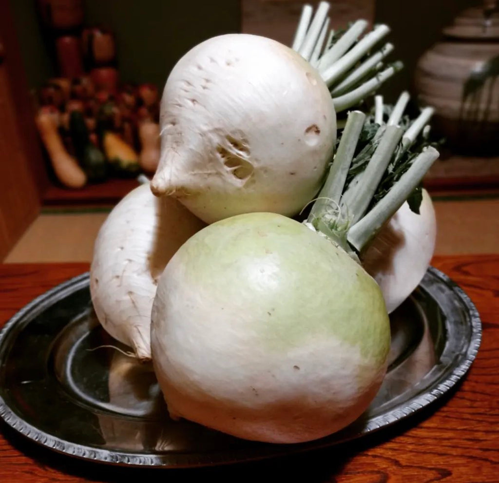 Several large white turnips with trimmed stems stacked on a metal plate.
