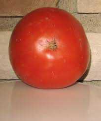A single large red tomato resting against a brick background.