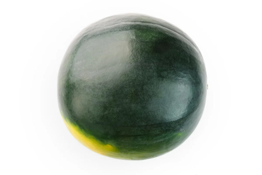 A single round dark green watermelon with a small yellow ground spot.
