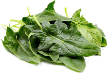 Load image into Gallery viewer, Flamingo F1 Asian Arrowhead Spinach Heirloom Non-GMO Seeds

