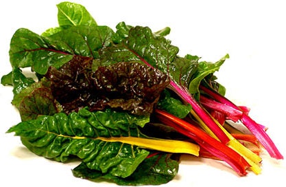 Harvested rainbow Swiss chard with colorful stems and broad green leaves.