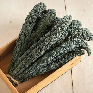 Harvested Lacinato kale leaves standing in a wooden crate.